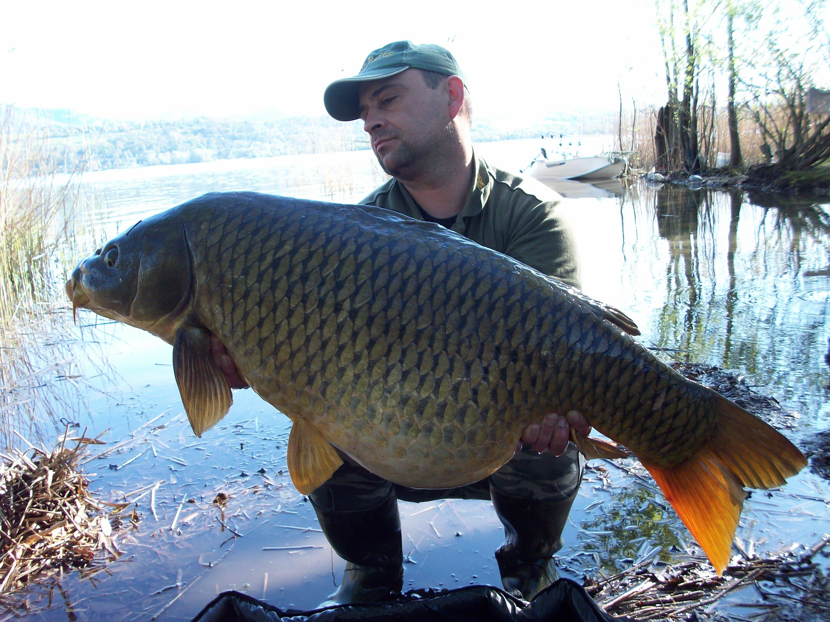 Carpfishing - 100_2609.JPG